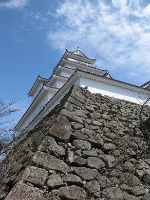 TsurugaCastle