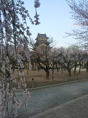 MatsumotoCastle